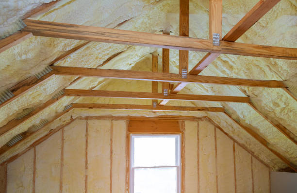 Best Insulation Installation Services in Lake Secession, SC