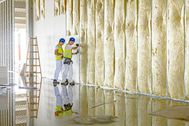 Best Insulation Installation Services in Lake Secession, SC